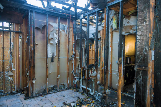 Professional Smoke Damage Removal technician working in Clinton, OH
